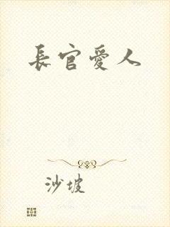 长官爱人