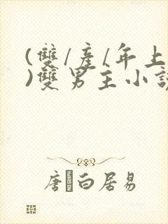 (双/产/年上)双男主小说