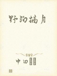 野狗摘月