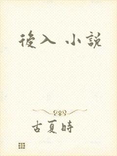 后入 小说