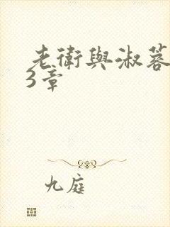 老卫与淑蓉第13章