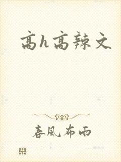 高h高辣文