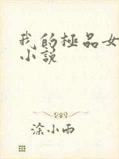我的极品女老师小说