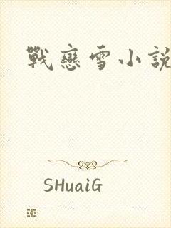 战恋雪小说