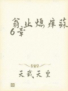 翁止熄痒苏玥第6章