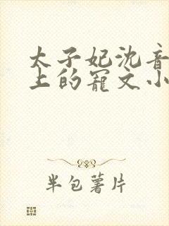 太子妃沈音和皇上的宠文小说