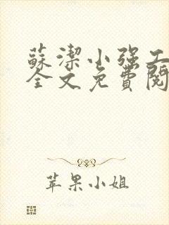 苏洁小强工地情全文免费阅读