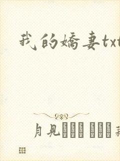我的娇妻txt