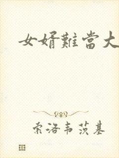 女婿难当大结局