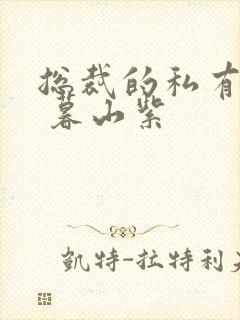 总裁的私有宝贝 暮山紫