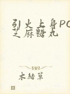 引火上身POP芝麻糖丸