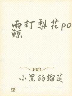雨打梨花po问鲸