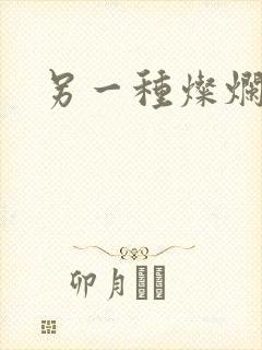 另一种灿烂生活