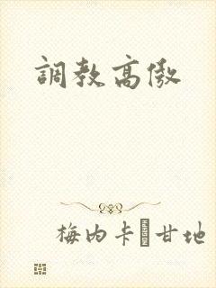 调教高傲