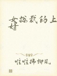 女总裁的上门女婿