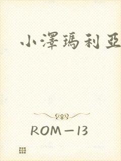 小泽玛利亚作品