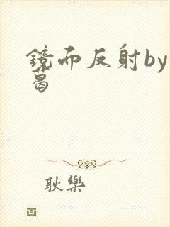 镜面反射by九葛