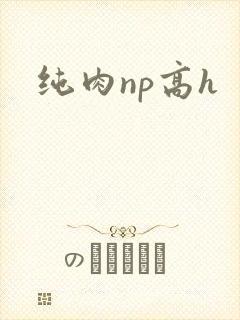 纯肉np高h