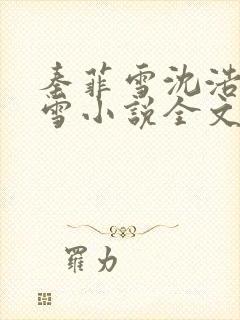 秦菲雪沈浩秦菲雪小说全文免费阅读求书