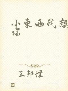 小东西我想弄坏你