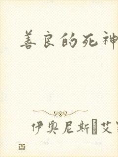 善良的死神小说