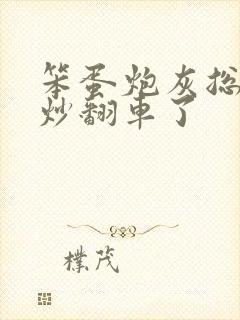 笨蛋炮灰总被爆炒翻车了