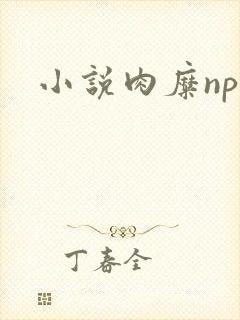 小说肉糜np