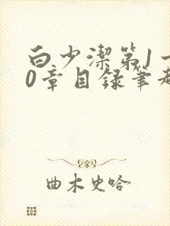 白少洁第1一40章目录笔趣阁