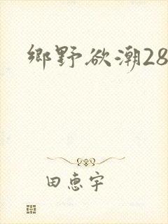 乡野欲潮28章