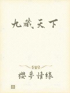 九藏天下