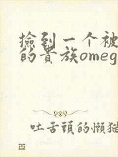 捡到一个被抹布的贵族omega