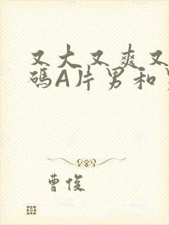 又大又爽又黄无码A片男和男