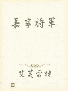 长宁将军