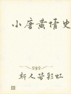 小唐黄倩史