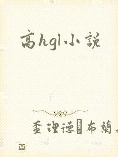 高hgl小说