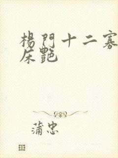 杨门十二寡妇肉床艳