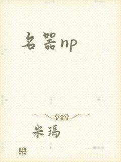 名器np