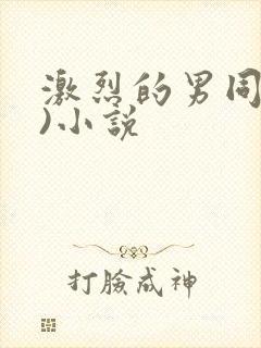 激烈的男同(h)小说