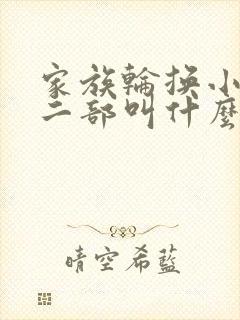 家族轮换小说第二部叫什么名字