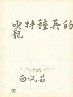 吃特种兵的大黑龙