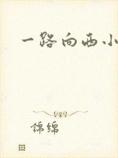 一路向西小说