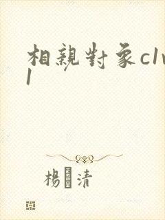 相亲对象c1v1