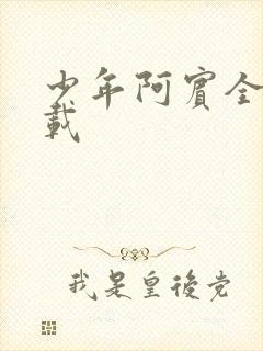 少年阿宾全集下载