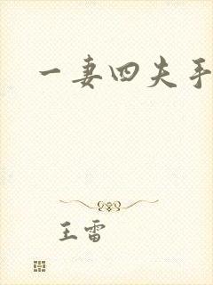 一妻四夫手记