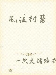 风流村医