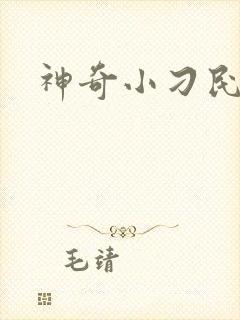 神奇小刁民