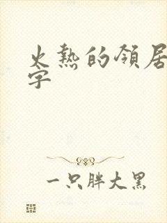 火热的领居中文字