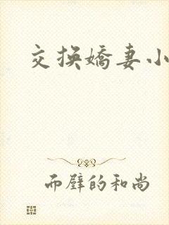 交换娇妻小说