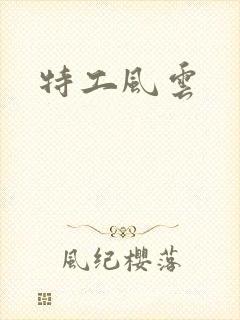 特工风云