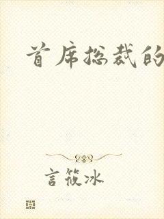 首席总裁的逃妻